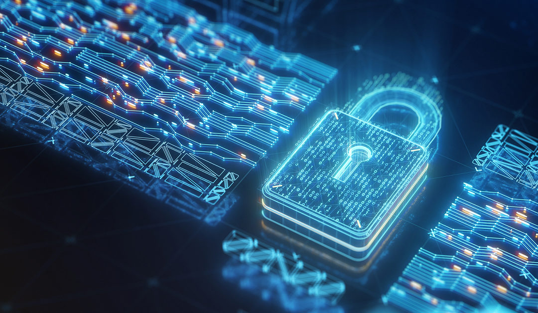 How to Protect Your Privacy and Your Safety in the Digital World